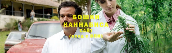 прущий лед Бородино