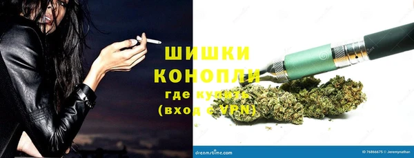 соль ск Богданович