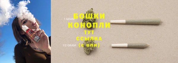 соль ск Богданович