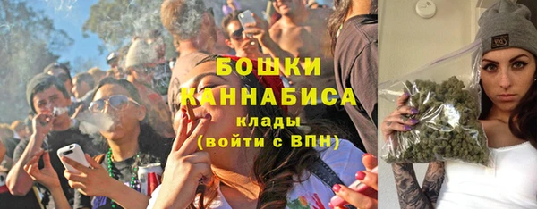 соль ск Богданович