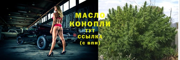 прущий лед Бородино