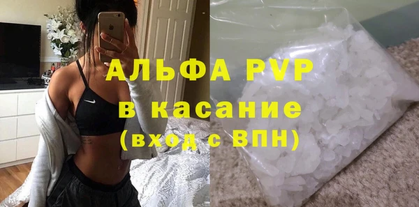 прущий лед Бородино