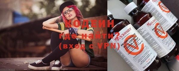 прущий лед Бородино