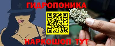 ECSTASY Гусев
