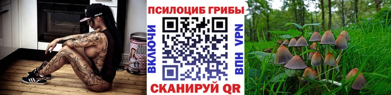 где продают   Северск  Галлюциногенные грибы мухоморы 
